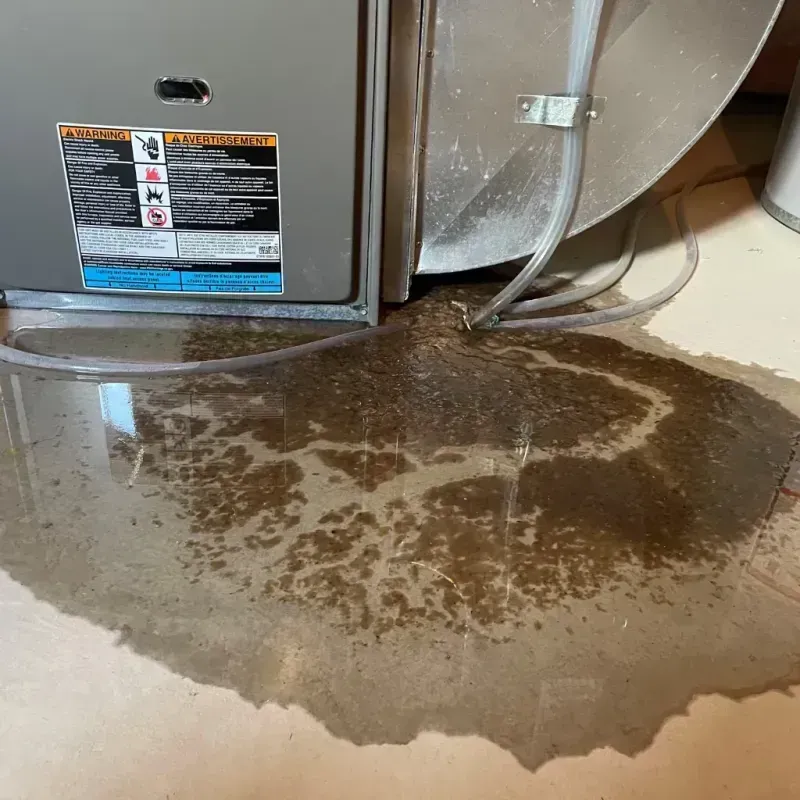 Appliance Leak Cleanup in Cavalier, ND